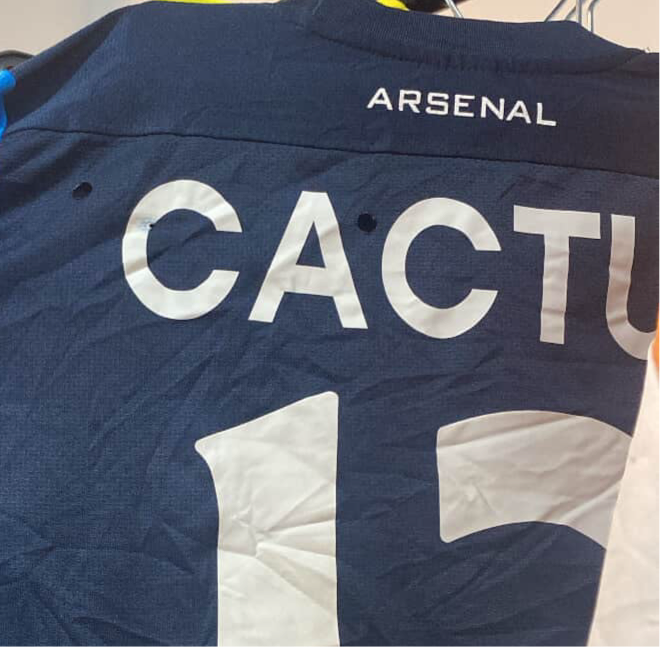 NIKE CACTUS JERSEY - S was