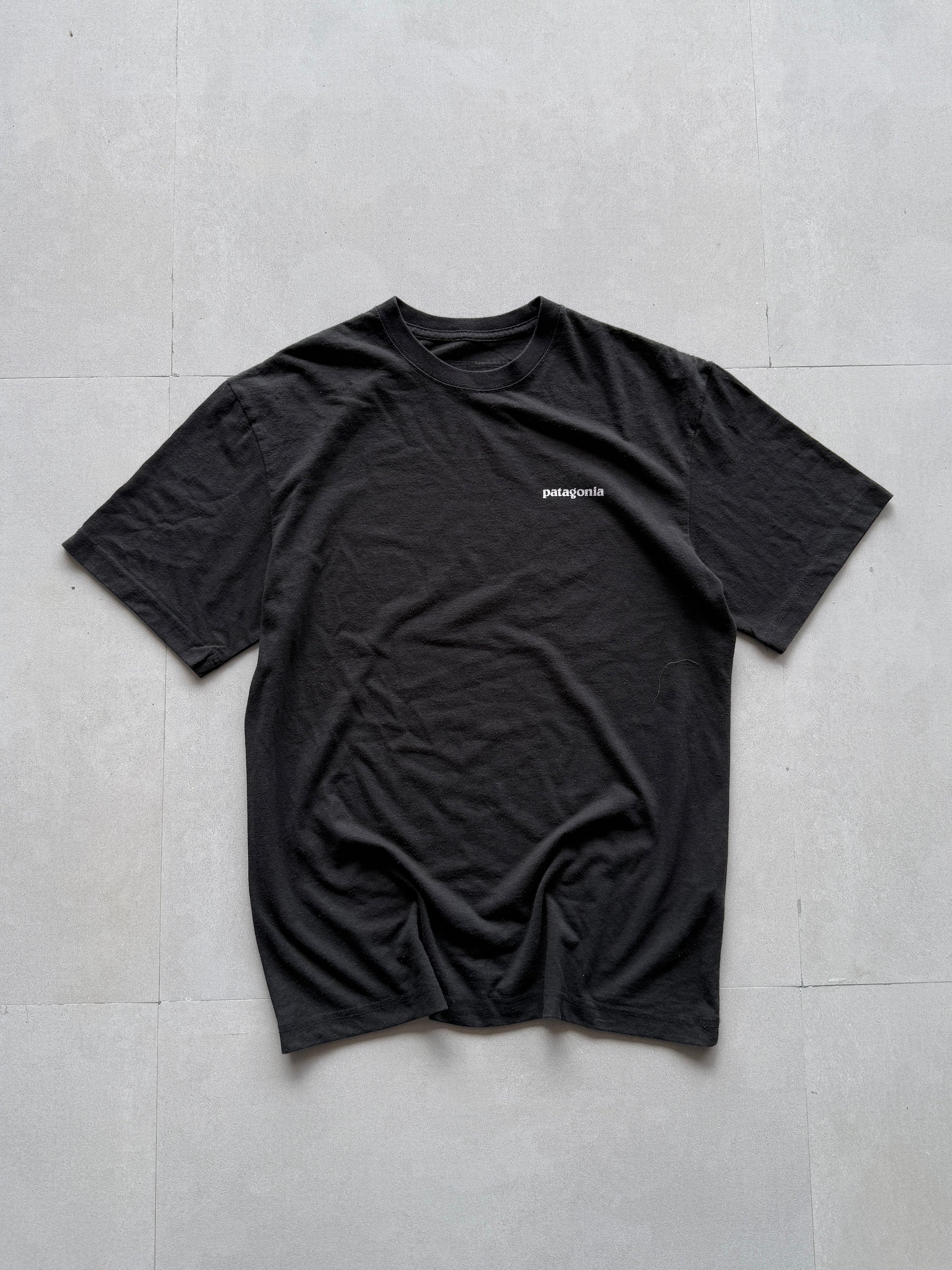 PATAGONIA TEE - L