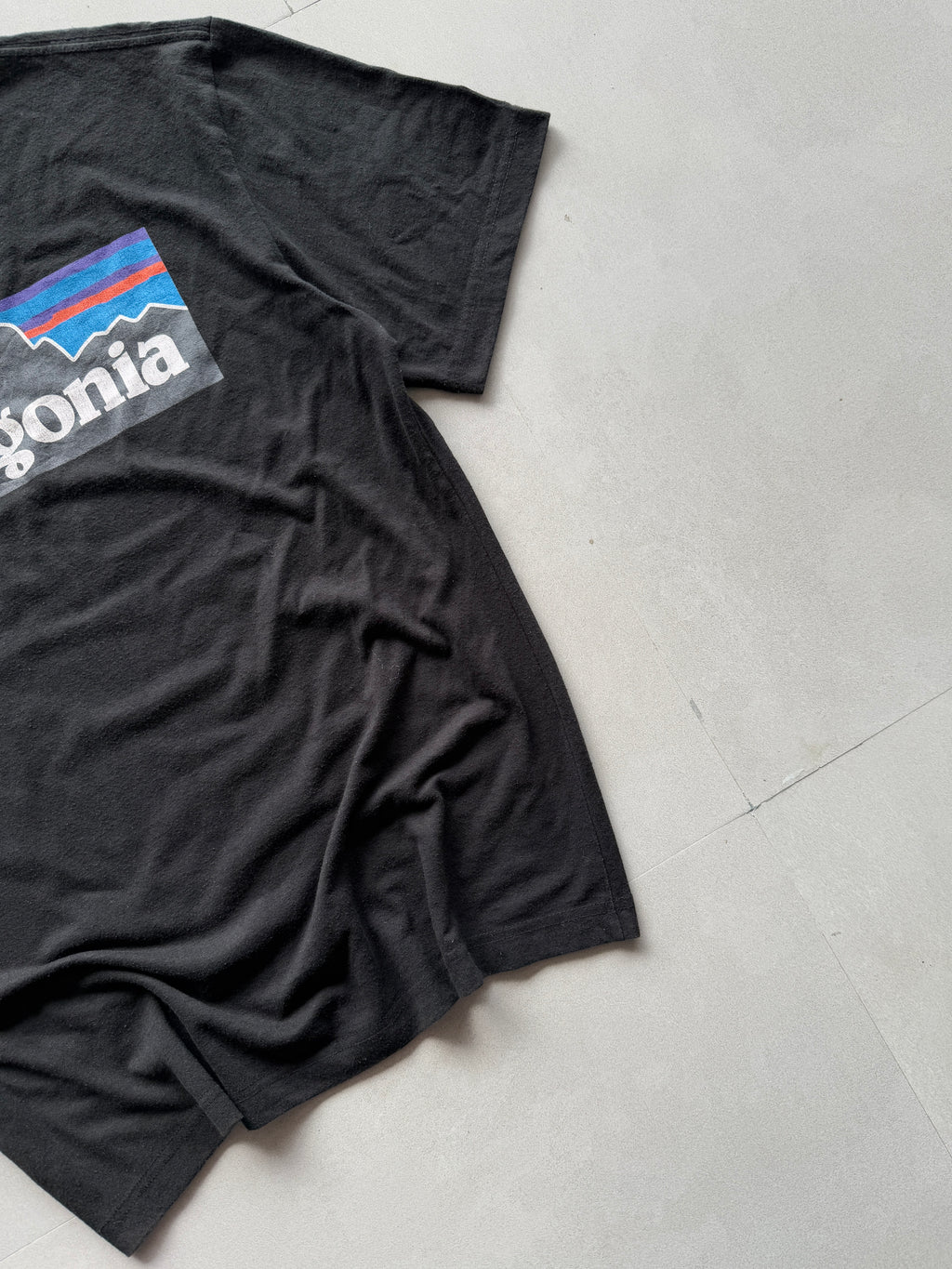 PATAGONIA TEE - L