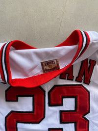 BULLS JORDAN 23 BASKETBALL JERSEY - M