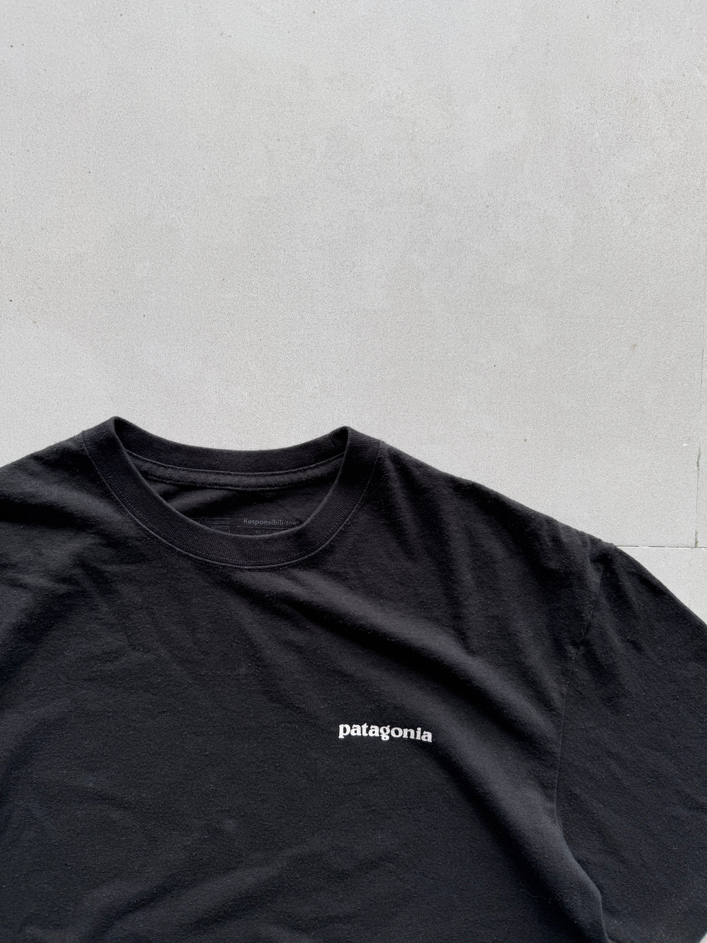 PATAGONIA TEE - L