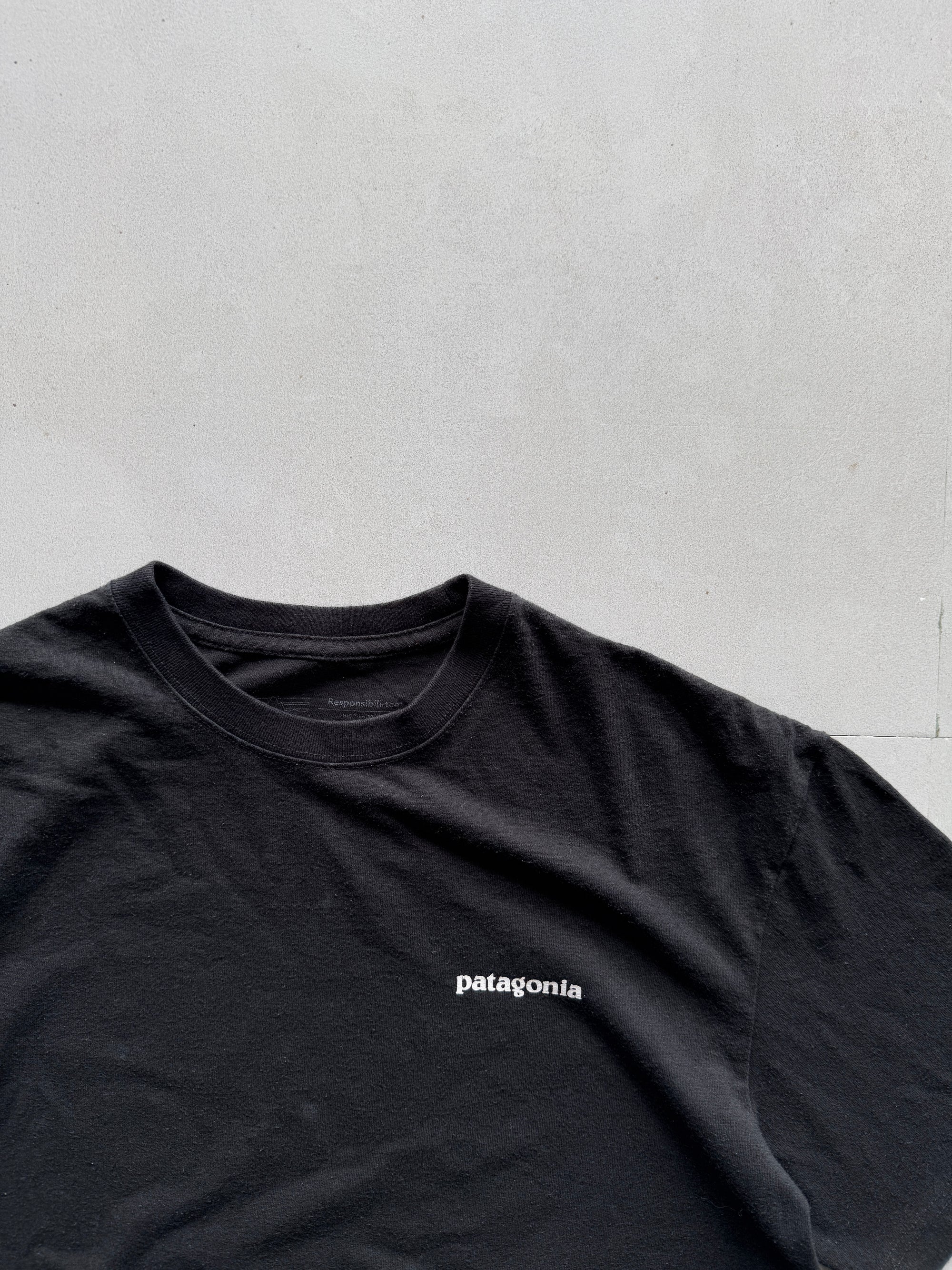 PATAGONIA TEE - L