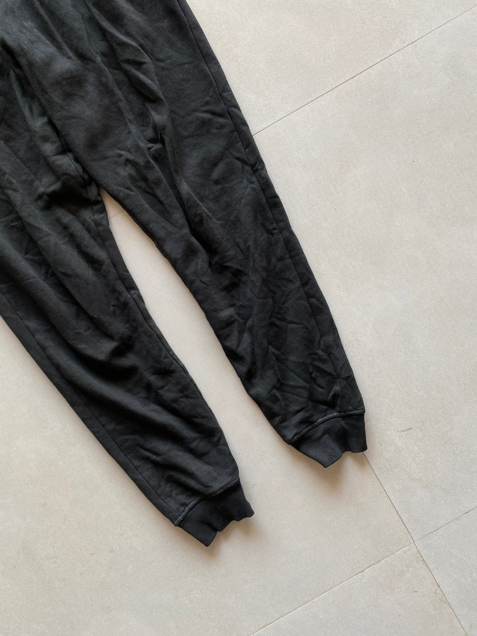 GYM SHARK SWEAT PANT - M - Aged Arc