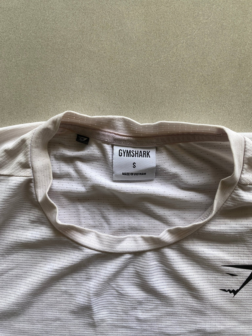 GYM SHARK TEE - S - Aged Arc