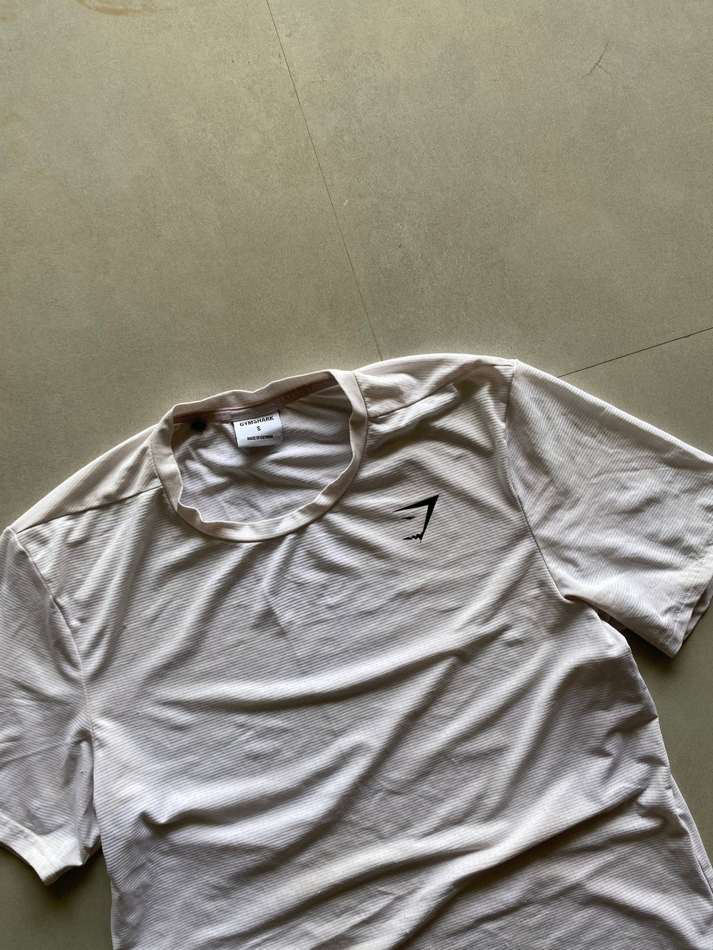 GYM SHARK TEE - S - Aged Arc